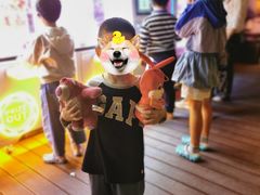 -石梅湾艾美度假酒店