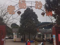 -老杨砂锅鱼庄