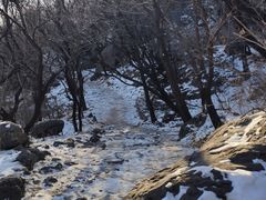 -阳台山自然风景区