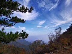 -鹫峰国家森林公园