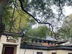 -西湖风景区十里琅珰-五云山