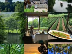 -野蔓果·山野菜(西湖景区·龙井茶田店)