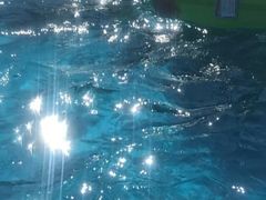 -平湖九龙山乐满地水上乐园