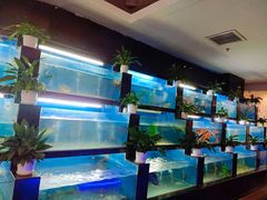 水产区-王家渡火锅店(棕榈泉店)