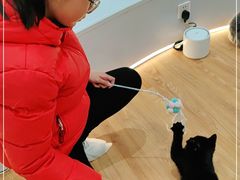 -COLOR PETS 撸猫馆·购猫·猫咖(长风大悦城店)