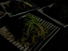 android_upload_pic-LENBACH兰巴赫西餐啤酒坊(大连星海广场店)