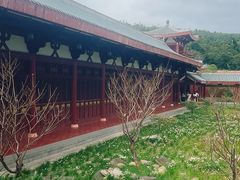 -莆田南少林寺
