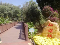 -梧桐山风景名胜区