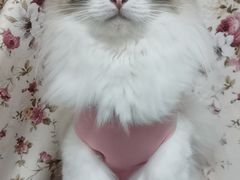 -瑞派天宁宠物医院·猫科·异宠中心