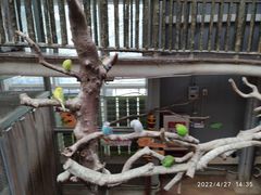 -正佳雨林生态植物园