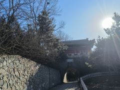-云岗森林公园