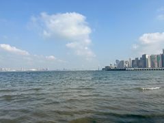 -中澳友谊花园