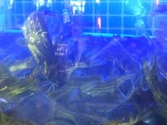 -蛙一刀·麻椒鱼火锅(金仙桥店)