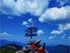 -朱雀国家森林公园