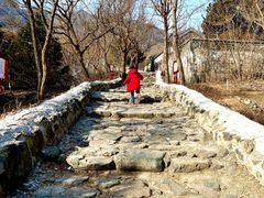 -阳台山自然风景区