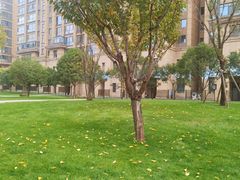 -唐城墙遗址公园