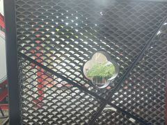 -COSTA COFFEE(新奥购物中心店)