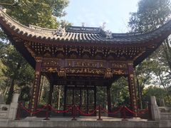 -汇龙潭