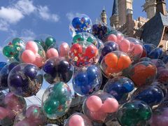 -上海迪士尼度假区