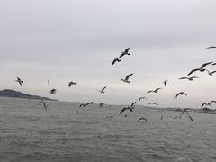 -幸福门