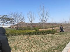 -君乐宝优致牧场