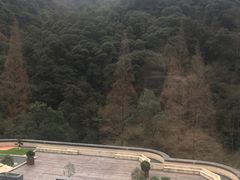 -天明山温泉大酒店