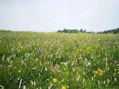 -白草畔自然风景区