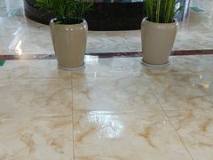 -葛记红焖羊肉(和平路形象店)