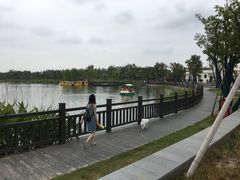 -上海长兴岛郊野公园