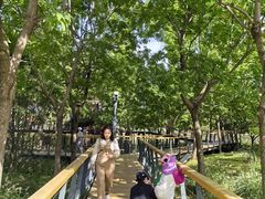 -东郊湿地公园