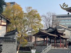 -龙潭水乡