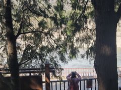 -蟒山国家森林公园-停车场