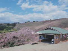 -岚山嵯峨野观光小火车