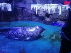 -石家庄海洋公园