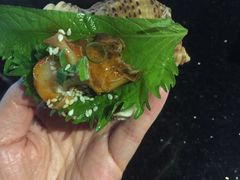 -梅筑·创意料理(王府井百货店)