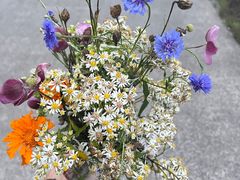 -武陵山森林公园