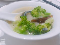 -新吉士·上海菜(浦东LCM置汇旭辉店)
