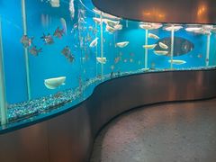 -碧涛阁水世界酒店(万家丽路店)
