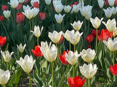 -长春公园(普阳街道)