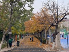 -山东师范大学(千佛山校区)