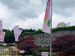 -嘉定紫藤园