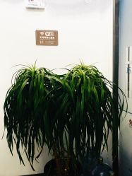 -悟空祛痘·诺奖技术专业店