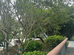 -福道