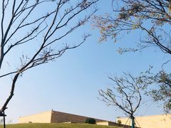 -盘龙城国家考古遗址公园