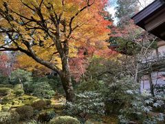 -三千院