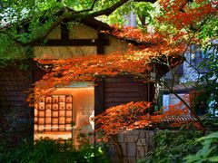 -中国茶叶博物馆(双峰馆区)