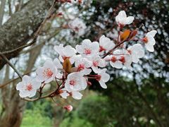 -昆明市金殿名胜区