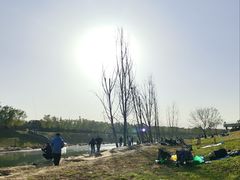 -洨河生态公园