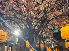 -绿茶餐厅(昌平悦荟店)