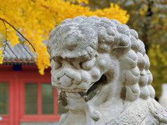 -北京石刻艺术博物馆(五塔寺)